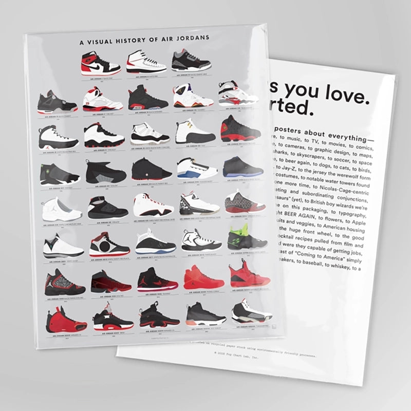 Evolution of Jordans Poster print 16x20, front and back display