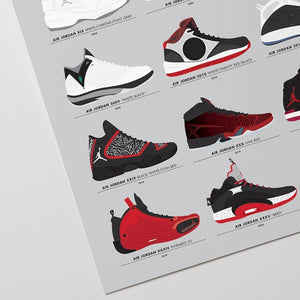 Evolution of Jordans Poster print 16x20, upclose detail